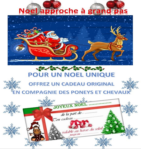 Bon cadeau Noel 2023